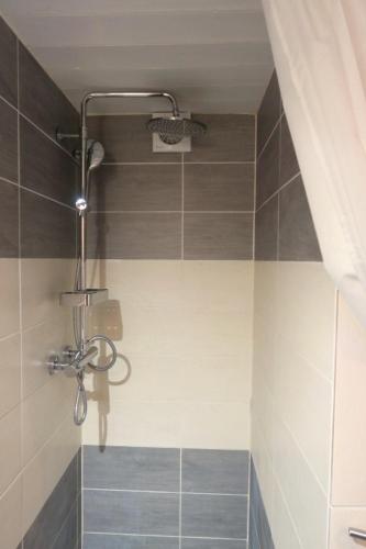 a shower in a bathroom with a tile wall at Le Bachasson in Névache