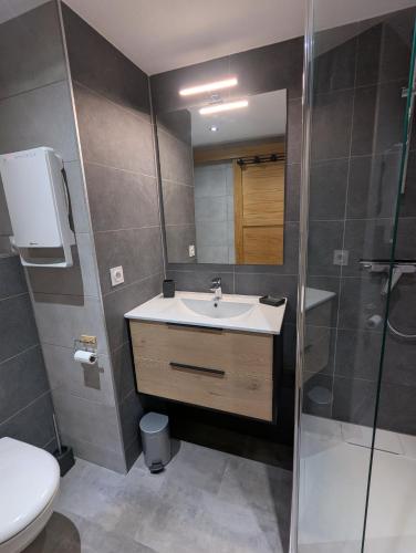 une salle de bain avec un lavabo, une douche et des toilettes dans l'établissement Appartement 4-6 Personnes - Piscines - SAMOENS - HAUTE SAVOIE, à Samoëns