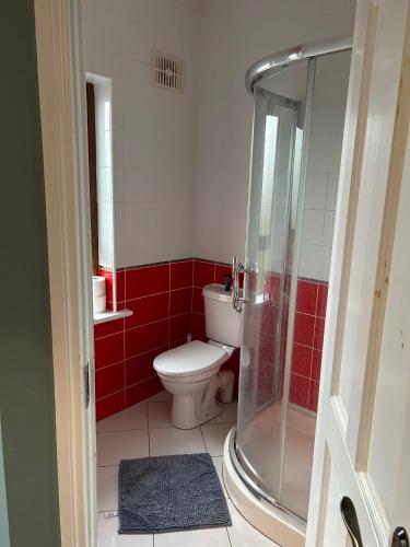 a bathroom with a toilet and a glass shower at Castletown Carlow in Carlow