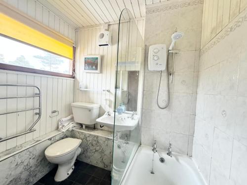 Un baño con inodoro, ducha y lavabo. en Equinox Cabin, en Torlundy