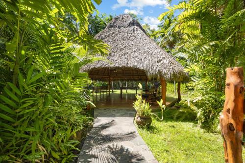 a pavilion with a straw hut in a garden at Tambor Tropical Beach Resort- Adults Only in Tambor