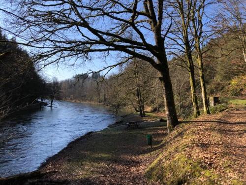 a view of a river with a tree next to it at Petite maison d'Amelotte in Sainte-Cécile