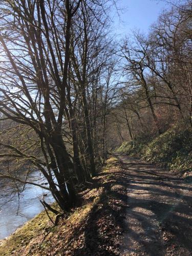 a dirt road with trees on the side of a river at Petite maison d'Amelotte in Sainte-Cécile