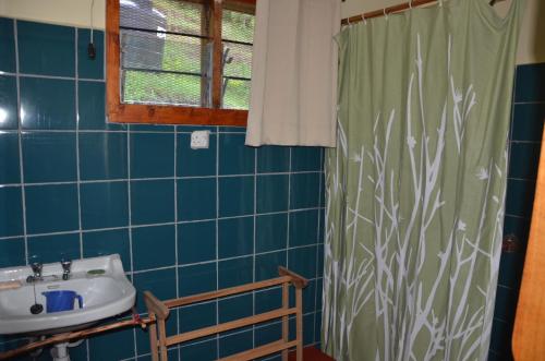 a bathroom with a sink and a shower curtain at Milemeleni Guesthouse in Lushoto