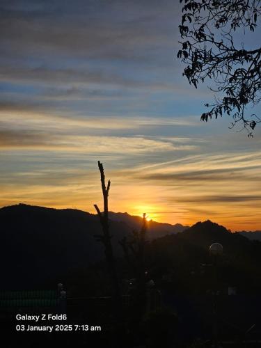 a silhouette of a tree in front of a sunset at The Bayleaf Cafe and Shivalik Homestay in Nainital