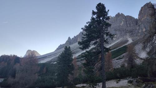 a mountain with trees on the side of it at Dolomiten Home in Villnoss