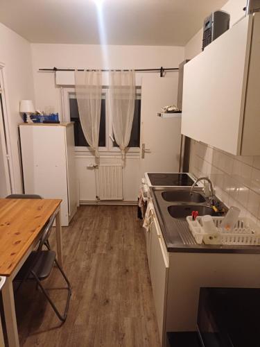 une cuisine avec un évier et un plan de travail dans l'établissement Saphire tilleul, à Nantes