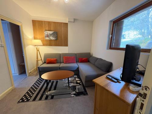 un salon avec un canapé et une télévision dans l'établissement Villa Prairie Mont-Dore 7 Appartements, à Le Mont-Dore
