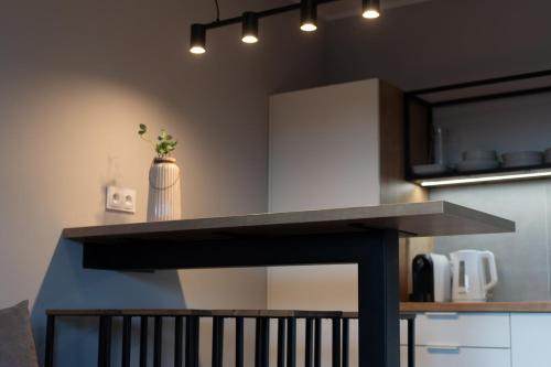 a kitchen with a counter with a counter top at 4jeziora - prywatny dostęp do rzeki, pomost, ogrodem, wiata grillowa, rowerek wodny, kajaki w cenie, parking, psiaki dozwolone in Iława