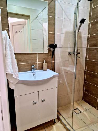 a bathroom with a sink and a shower at Két Sirály Apartman in Siklós