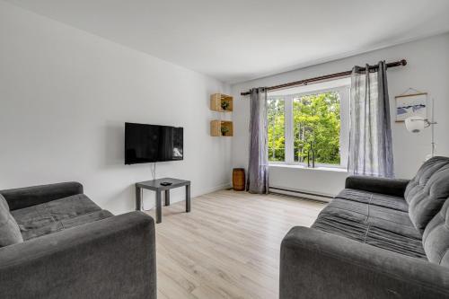 Μια τηλεόραση ή/και κέντρο ψυχαγωγίας στο Initial Yellow Lac-Beauport