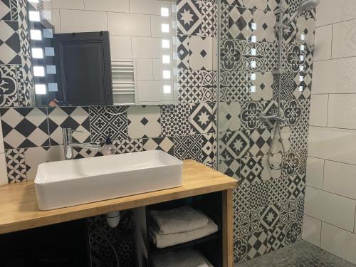 une salle de bain avec un lavabo et une douche dans l'établissement charmes de Lourdes, à Lourdes