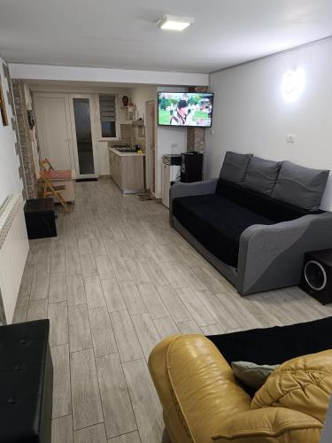 a living room with a couch and a flat screen tv at Casă de vacanţă ,,La Vălucu" in Curtea de Argeş