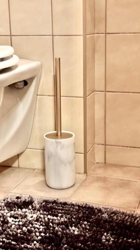a bathroom with a toilet and a pole in the floor at Lechtaler Alpenblick Landeck - Privatzimmer & Ferienwohnung in Landeck
