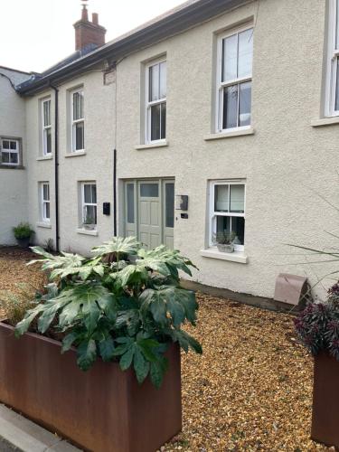 a house with two plants in front of it at Little Priory in Lisburn