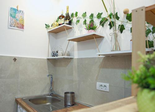 una cocina con fregadero y estanterías con plantas en Boho-Style Apartment in the city center, en Belgrado