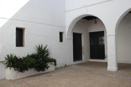 un edificio blanco con arcos y plantas delante de él en Apartamento Fatima, en Conil de la Frontera