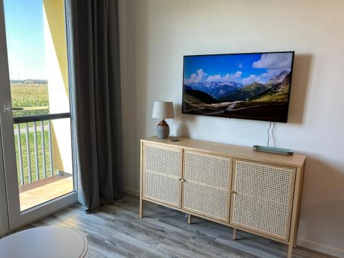 TV a/nebo společenská místnost v ubytování Samorin XBS view apartman plus parking