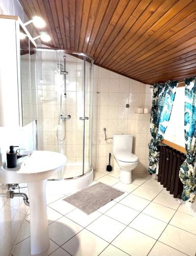 a bathroom with a shower and a toilet and a sink at Willa Marion in Karpacz