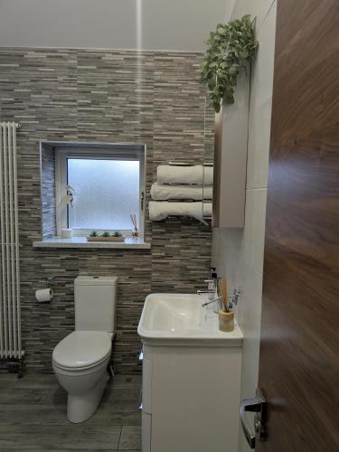 a bathroom with a toilet and a sink and a window at Cavehill city view in Belfast