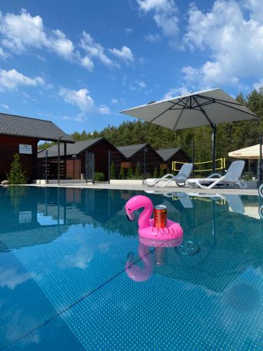 a swimming pool with a pink flamingo in the water at Osada Lekranka in Kopań
