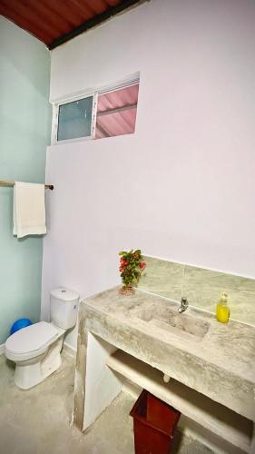 a bathroom with a sink and a toilet at CALABAZO Casa MonoCai in Santa Marta