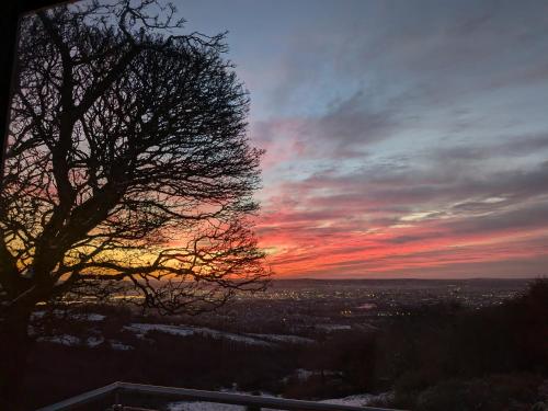 a sunset with a tree in the foreground at Cavehill city view in Belfast