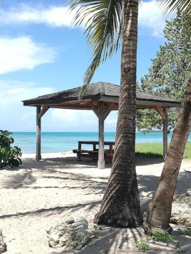 a picnic shelter on the beach with a palm tree at L'abri côtier in Port-Louis