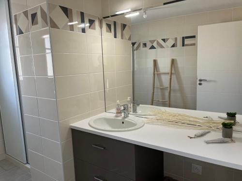 une salle de bain avec un lavabo et un miroir dans l'établissement ApptT2 neuf Port de Saint Valéry sur Somme, à Pinchefalise
