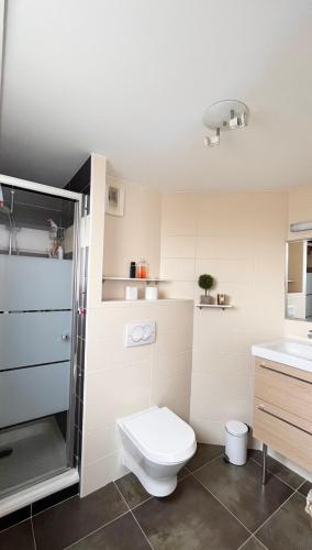 une salle de bain avec toilettes et lavabo dans l'établissement Duplex - Beach 15min walk, à Saint-Raphaël