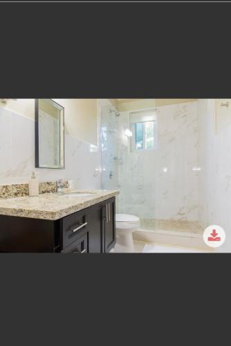 Un baño con ducha, lavabo e inodoro. en thestartree, en Kingston
