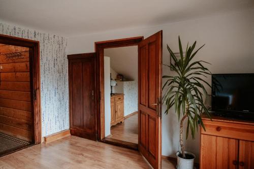 a living room with a television and a potted plant at Cisówka Pokoje Gościnne in Piwniczna