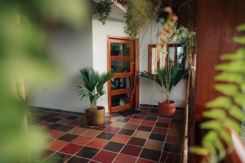 Un jardín fuera de Hostal Grand Park Palomino