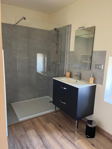 a bathroom with a shower and a sink and a mirror at Charming Master House with Private Pool in Quarante