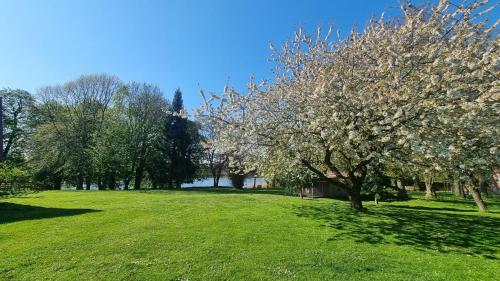 Příroda nedaleko apartmánu