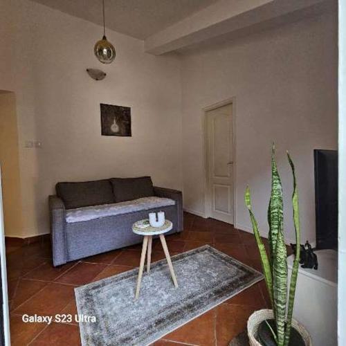 un soggiorno con divano e cactus di Studio Ines a Kotor (Cattaro)
