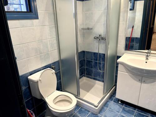 un bagno con doccia, WC e lavandino di VERDE BLUE 313 Barbati a Barbati