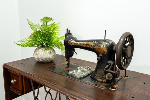 an old sewing machine sitting on a table with a plant at Torre dei Venti in Ceccano