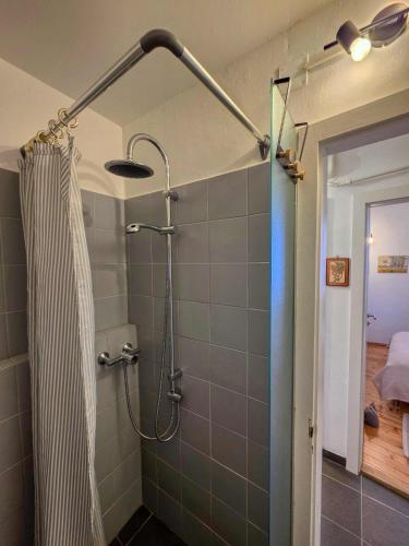 Little nest - Citta Vecchia Locarno