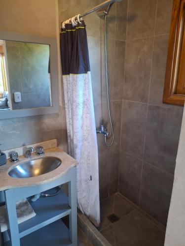 a bathroom with a shower curtain and a sink at Cabañas Bella vista Ruca hue in San Martín de los Andes