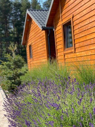 a wooden house with purple flowers in front of it at Osada Lekranka in Kopań