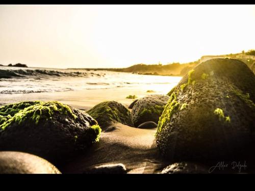 a group of rocks with green algae on a beach at Get house kira in Cidade Velha