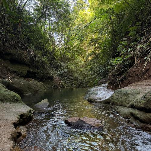 a river with rocks in the middle of a forest at Gumi Ayu EcoStay in Munduk