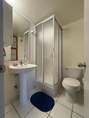 Koupelna v ubytování Amazing view of Santiago con Aire acondicionado y parking