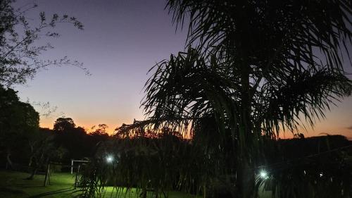 a palm tree with the sunset in the background at Casa de sítio com piscina aquecida lareira e fogão a lenha in Rio do Sul