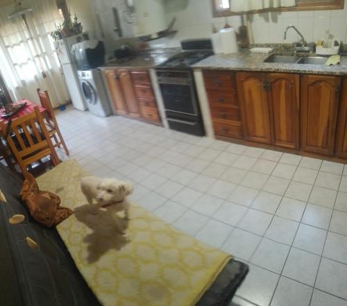 Η κουζίνα ή μικρή κουζίνα στο Casa Delia