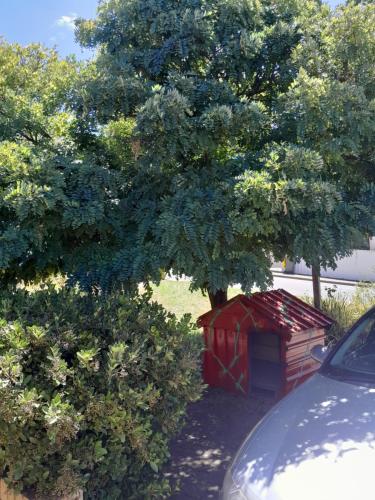 a red dog house under a tree in a yard at Red Kennel Budget Private Rooms - Trott Park in Happy Valley