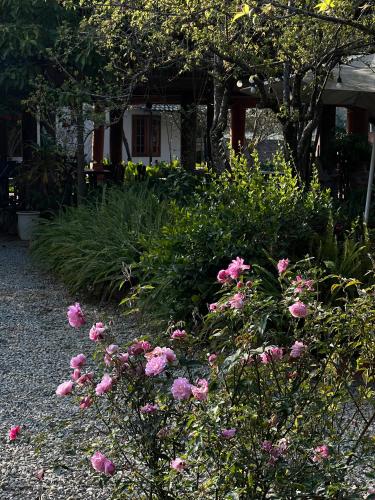 a garden with pink roses in front of a house at MAMA's House Mộc Châu in Mộc Châu
