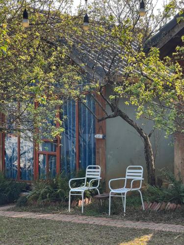 two chairs and a table under a tree at MAMA's House Mộc Châu in Mộc Châu