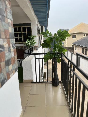 a balcony with a potted tree on a porch at 501 Aparthotel in Akure